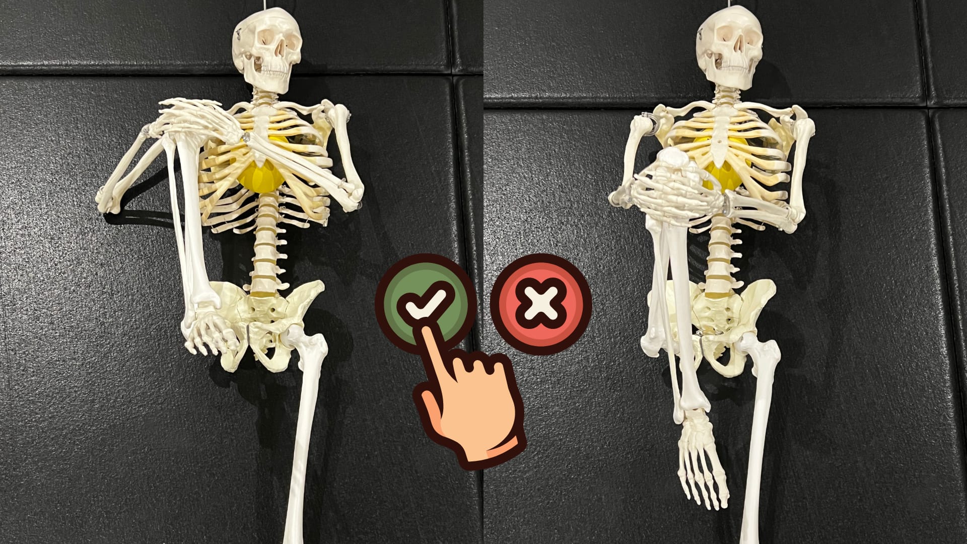 Read more about the article その股関節の詰まり感、カラダの歪みや筋肉の硬さではありません！表参道で学ぶ「骨格リテラシー」と正しいストレッチの法則