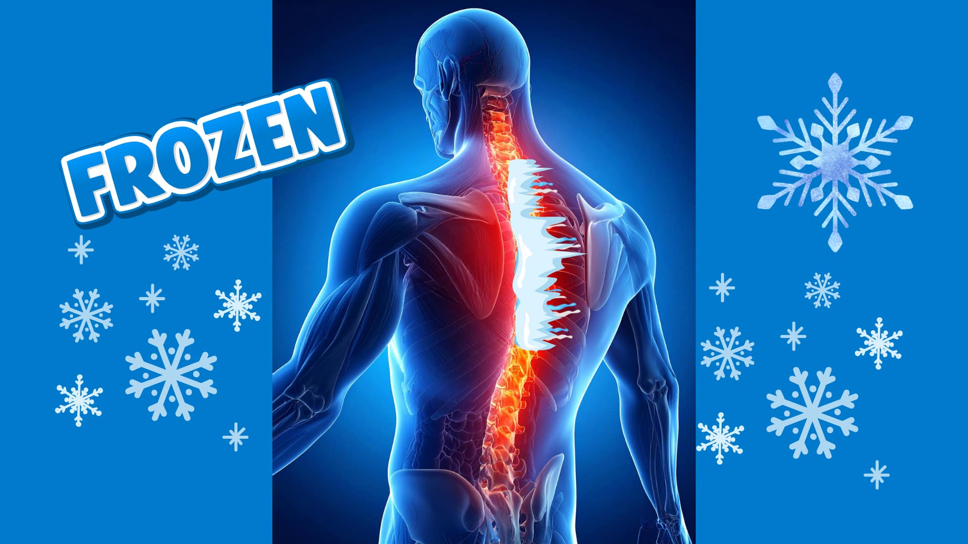 Read more about the article 「上がらない肩」の真実：四十肩・五十肩の正体は「胸椎」の凍結にある